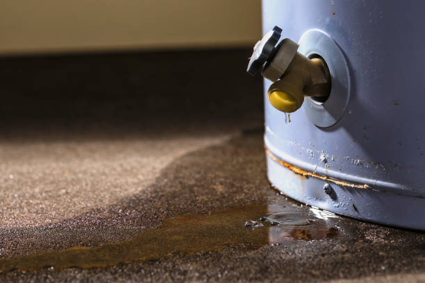Best Basement water damage restoration  in Pitcairn, PA