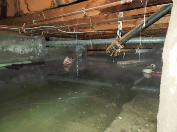 Best Water damage contractors near me  in Pitcairn, PA