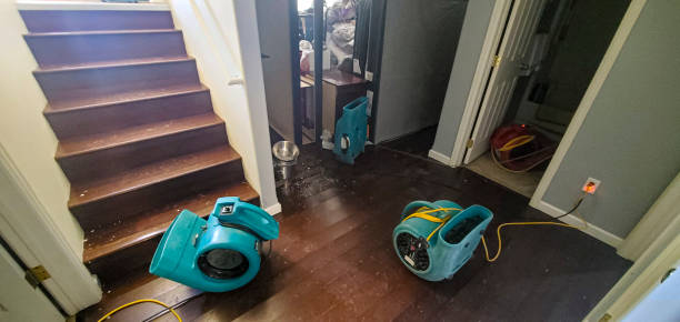 Best Local water damage restoration  in Pitcairn, PA