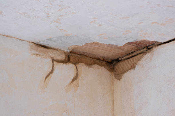 Best Professional water damage repair  in Pitcairn, PA
