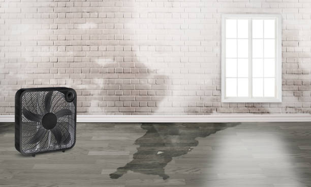 Best 24/7 water damage repair  in Pitcairn, PA