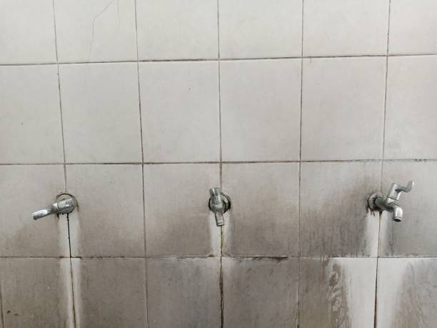Best Ceiling water damage repair  in Pitcairn, PA