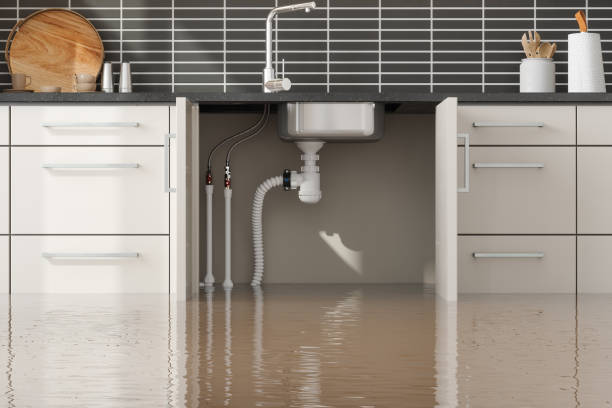 Best Water damage restoration experts  in Pitcairn, PA