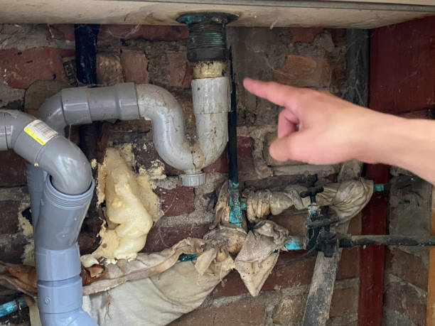 Best Water damage cleanup near me  in Pitcairn, PA